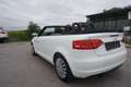 Audi A3 Cabriolet 1,2 TFSI Comfort Edition Weiß - thumbnail 11