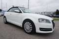 Audi A3 Cabriolet 1,2 TFSI Comfort Edition Weiß - thumbnail 8