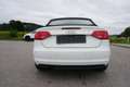 Audi A3 Cabriolet 1,2 TFSI Comfort Edition Weiß - thumbnail 5
