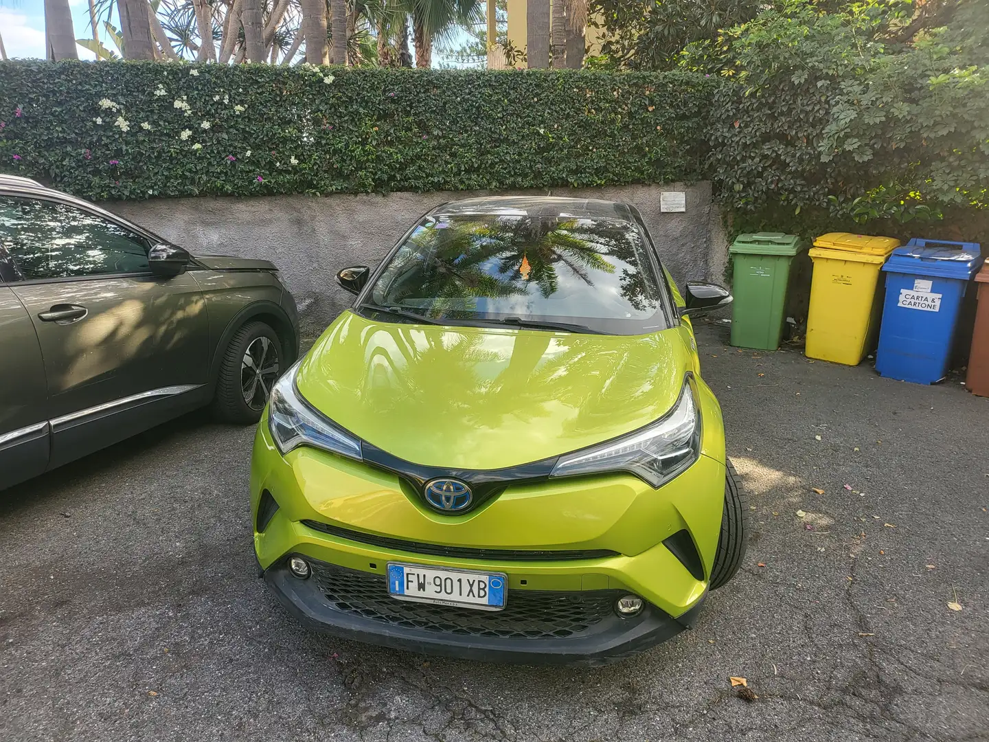 Toyota C-HR C-HR+1.8h+Lime+Beat+Special+Edition+2wd+e-cvt Green - 1