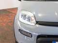 Fiat Panda 1.0 FireFly 70 CV Hybrid City Life Grigio - thumbnail 9