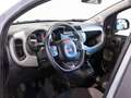 Fiat Panda 1.0 FireFly 70 CV Hybrid City Life Grigio - thumbnail 4