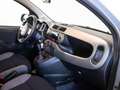 Fiat Panda 1.0 FireFly 70 CV Hybrid City Life Grigio - thumbnail 14