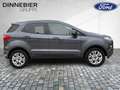 Ford EcoSport TITANIUM Winterpak. Klimaauto PDC Gris - thumbnail 8