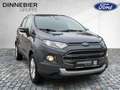 Ford EcoSport TITANIUM 5D Fernlichtass. PDC Gris - thumbnail 7