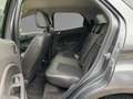 Ford EcoSport TITANIUM 5D Fernlichtass. PDC Gris - thumbnail 10