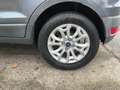Ford EcoSport TITANIUM 5D Fernlichtass. PDC Gris - thumbnail 14