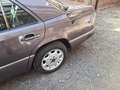 Oldtimer Mercedes Benz - thumbnail 16