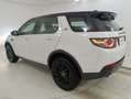Land Rover Discovery Sport SE Blanco - thumbnail 6