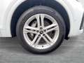 Audi Q5 50 TFSI e quattro S line MLED Inter. S line AHK Weiß - thumbnail 7