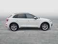 Audi Q5 50 TFSI e quattro S line MLED Inter. S line AHK Weiß - thumbnail 6