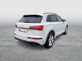 Audi Q5 50 TFSI e quattro S line MLED Inter. S line AHK Weiß - thumbnail 5
