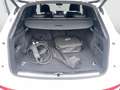 Audi Q5 50 TFSI e quattro S line MLED Inter. S line AHK Weiß - thumbnail 13