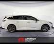 Peugeot 308 Nuova SW PURETECH 130 EAT8 ALLURE Bianco - thumbnail 6