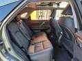 Lexus RX 450h Executive Tecno Gris - thumbnail 9