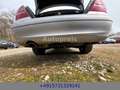 Mercedes-Benz CLK 240 ELEGANCE Klima 6-Gang Tempomat Plateado - thumbnail 13