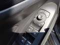 Ford Focus 1.0t ecoboost h st-line 125cv Gris - thumbnail 7