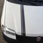 Fiat Panda 1.1 8V Active Weiß - thumbnail 13