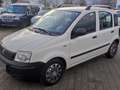 Fiat Panda 1.1 8V Active Weiß - thumbnail 1