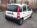 Fiat Panda 1.1 8V Active Weiß - thumbnail 8