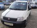 Fiat Panda 1.1 8V Active Weiß - thumbnail 2