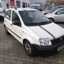 Fiat Panda 1.1 8V Active Weiß - thumbnail 4