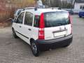 Fiat Panda 1.1 8V Active Weiß - thumbnail 10
