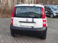 Fiat Panda 1.1 8V Active Weiß - thumbnail 9