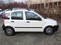 Fiat Panda 1.1 8V Active Weiß - thumbnail 6