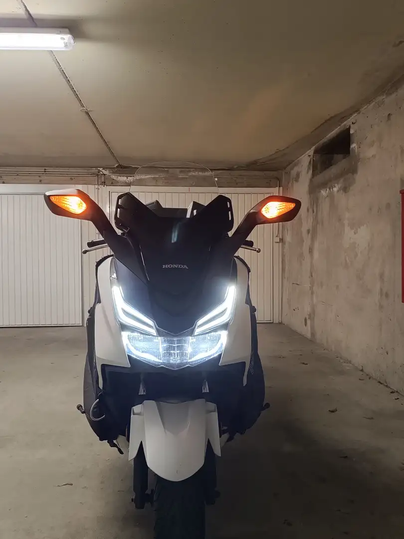 Honda Forza 125 Biały - 1