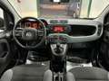 Fiat Panda 1.2 Easy easypower Gpl 69cv my19 - thumbnail 15