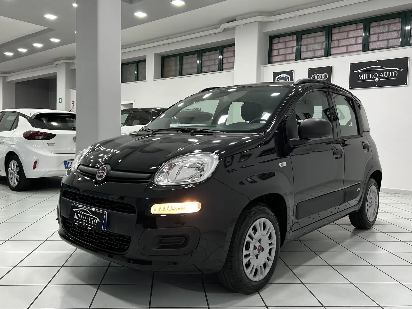 Fiat Panda 1.2 Easy easypower Gpl 69cv my19 - 2