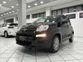 Fiat Panda 1.2 Easy easypower Gpl 69cv my19 - thumbnail 17