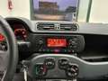 Fiat Panda 1.2 Easy easypower Gpl 69cv my19 - thumbnail 12