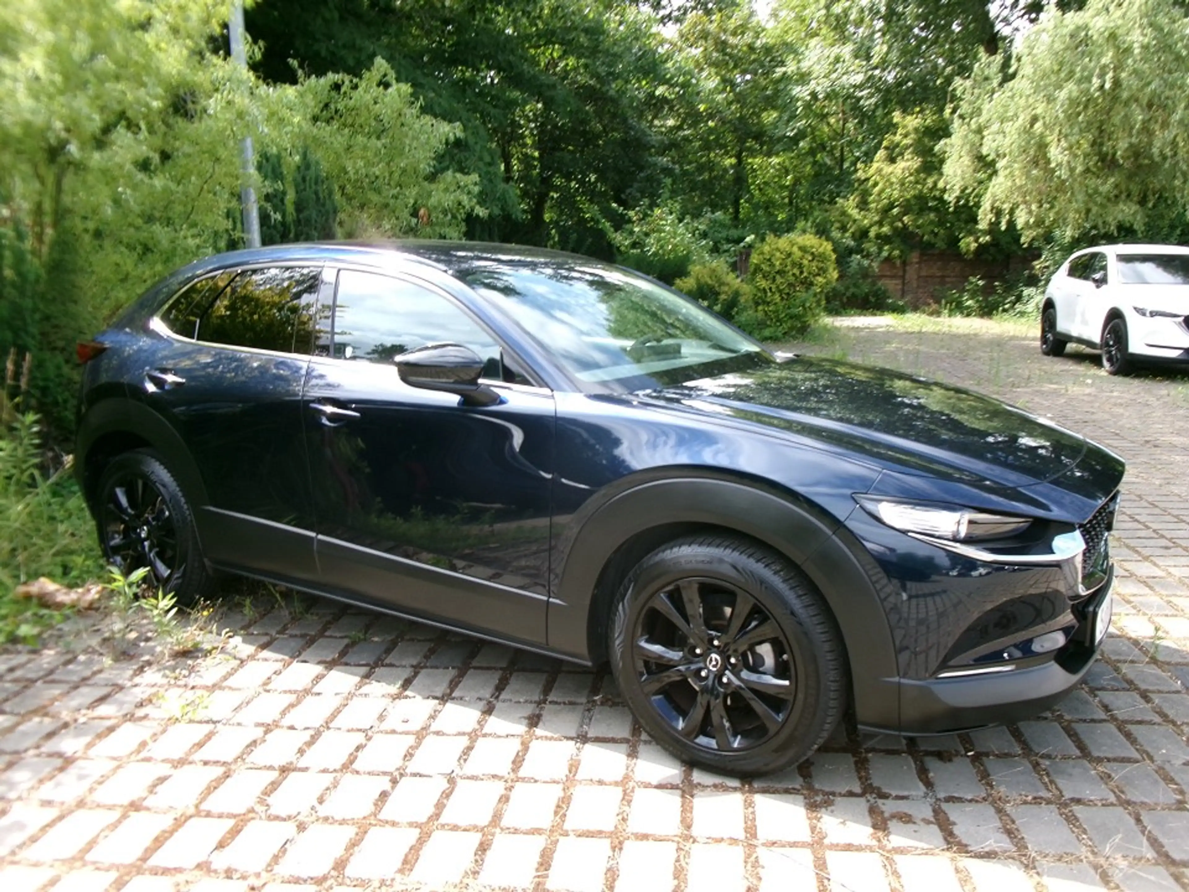 Mazda CX-30 2.0L e-SKYACTIV X 186ps CX-30 2.0L e-SKYACTIV X 18 — photo 2