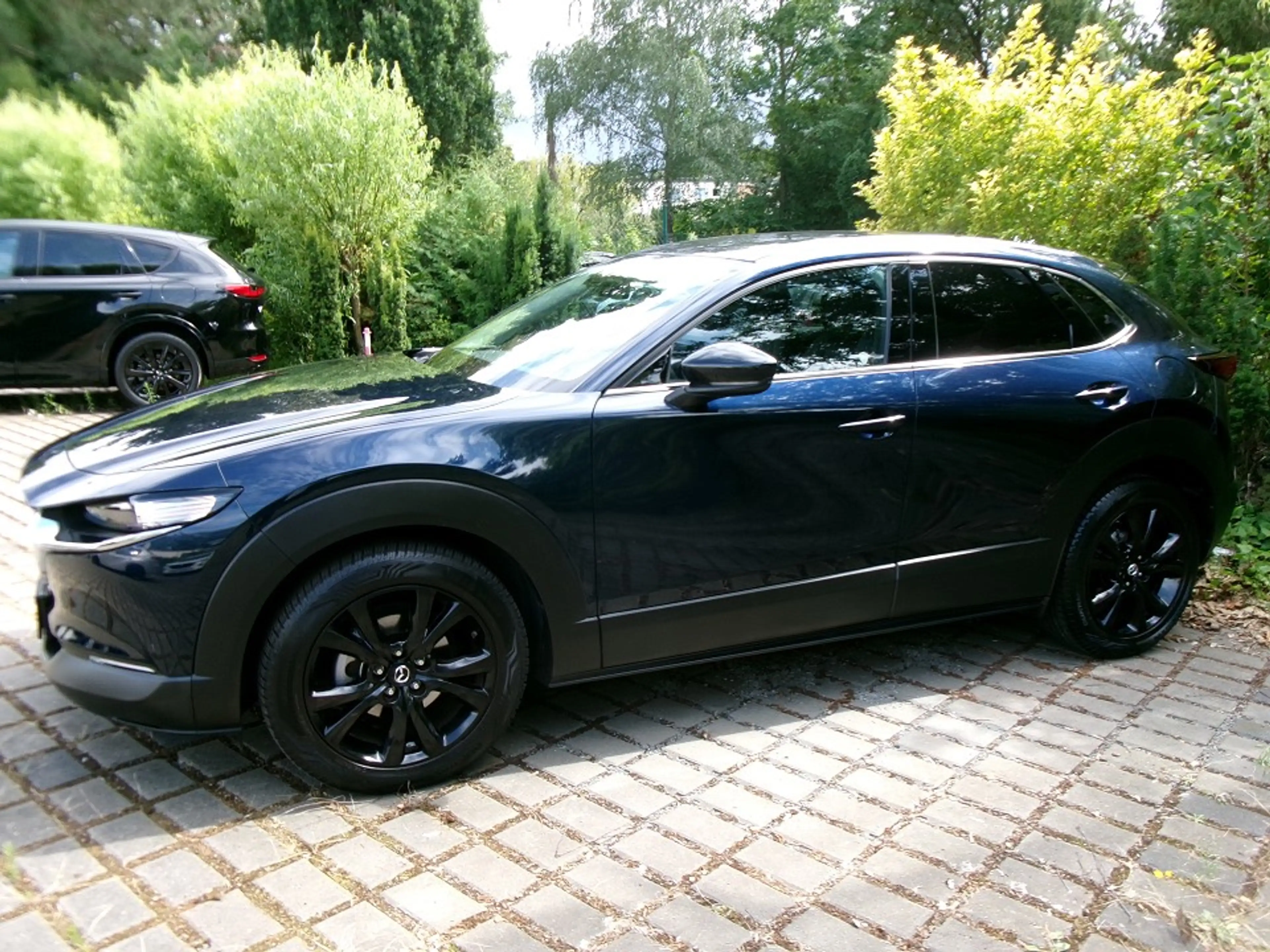 Mazda CX-30 2.0L e-SKYACTIV X 186ps CX-30 2.0L e-SKYACTIV X 18
