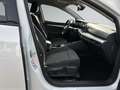 Volkswagen Golf VIII 1.5 eTSI DSG KAMERA+LED+NAVI+ACC+SIHZ+ Weiß - thumbnail 11