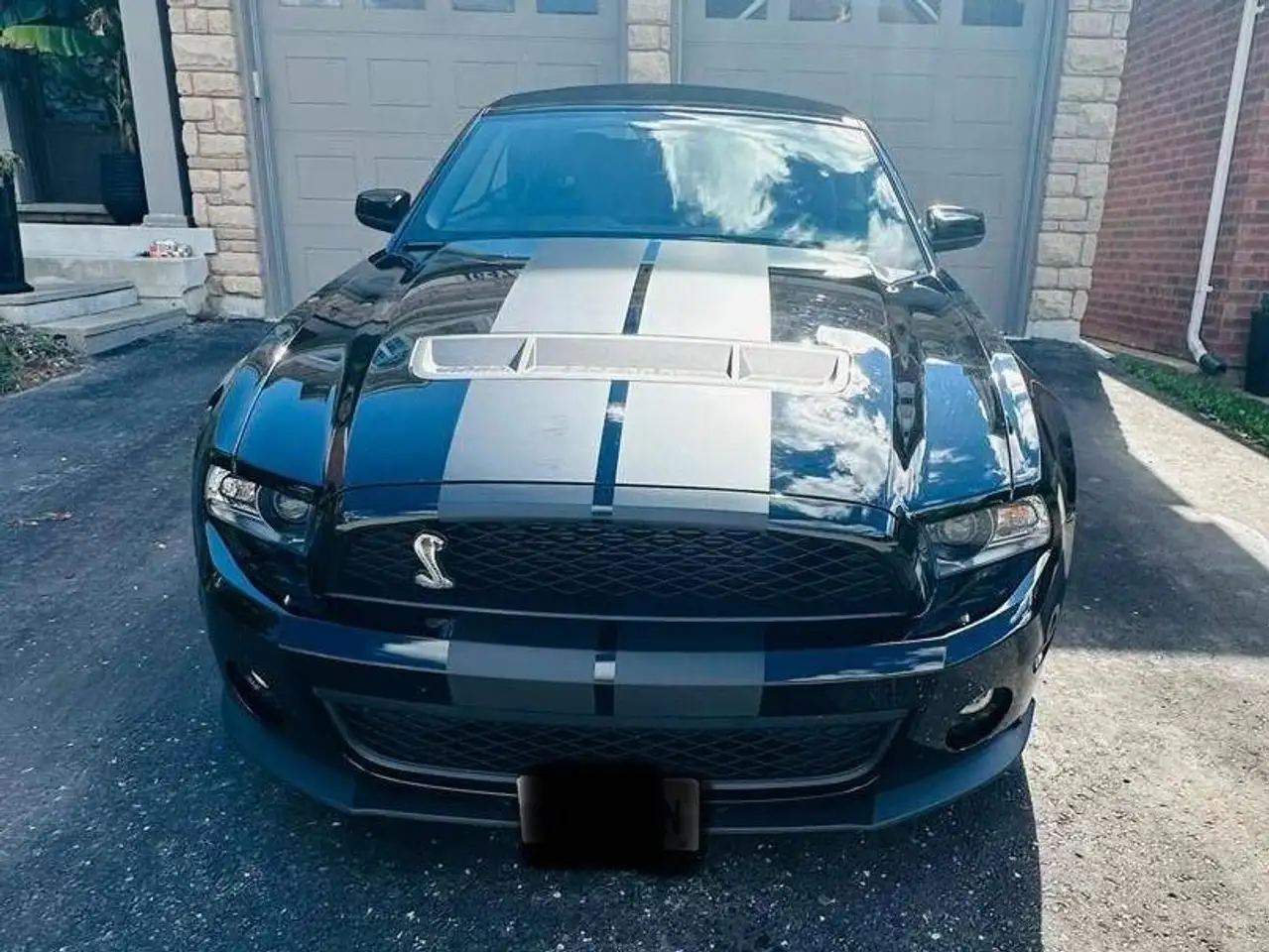 Ford Mustang fotografie Ford Mustang