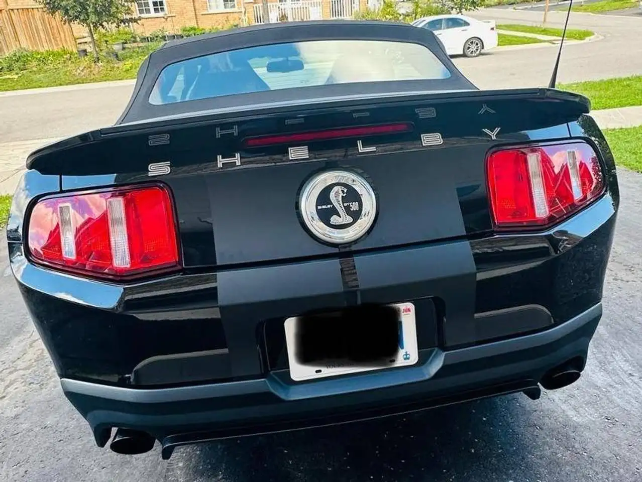 Ford Mustang fotografie Ford Mustang