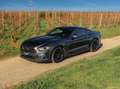 Ford Mustang Mustang Fastback V8 5.0 421 GT A Gris - thumbnail 7
