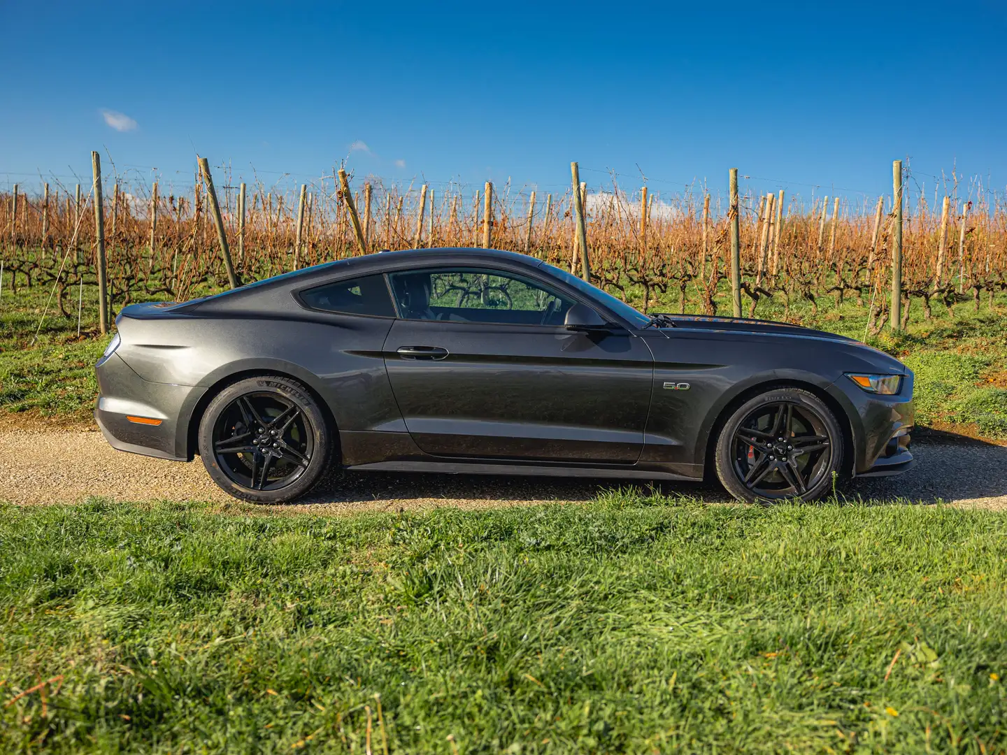 Ford Mustang Mustang Fastback V8 5.0 421 GT A Gris - 2