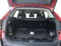 Kia Sportage 1.6 Hybrid DynamicLine Trekhaak 7 JAAR GARANTIE Rood - thumbnail 8