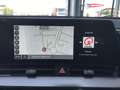Kia Sportage 1.6 Hybrid DynamicLine Trekhaak 7 JAAR GARANTIE Rood - thumbnail 17