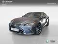 Lexus ES 300 HIBRIDO 300H PREMIUM Gris - thumbnail 1