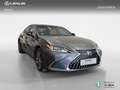 Lexus ES 300 HIBRIDO 300H PREMIUM Gris - thumbnail 16
