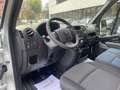 Renault Master 2.3dCi 125CV *** CELLA FRIGO - ATP Blanc - thumbnail 3