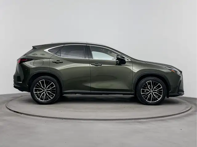 Lexus NX view 14