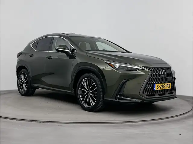 Lexus NX view 15