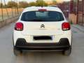 Citroen C3 C3 BlueHDi 75 S&S Live Bianco - thumbnail 5