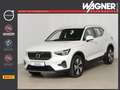 Volvo XC40 T4 Recharge DKG Core *360°-Kamera * Winterpaket* Wit - thumbnail 1